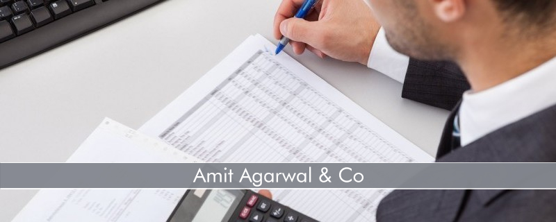 Amit Agarwal & Co 